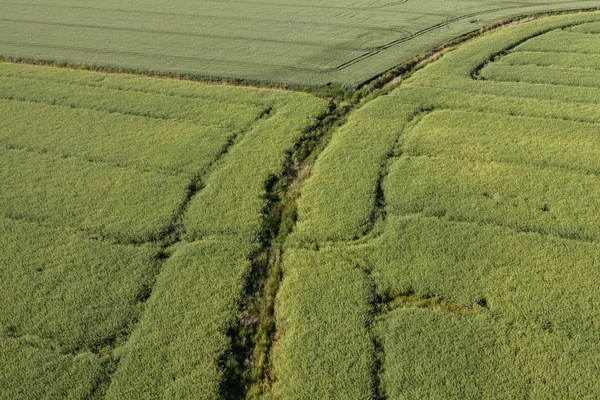 Воздушный вид полей для сбора урожая — стоковое фото