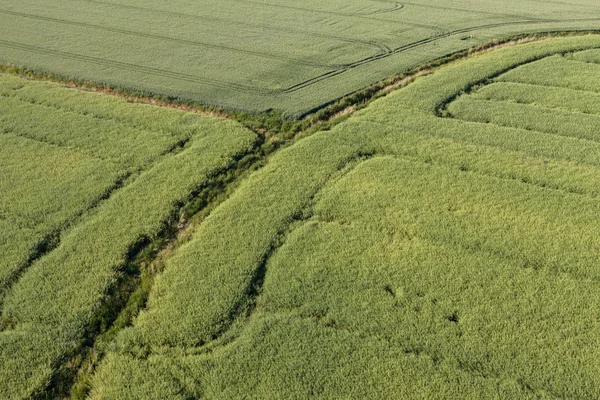 Vista aérea de los campos de cosecha — Foto de Stock