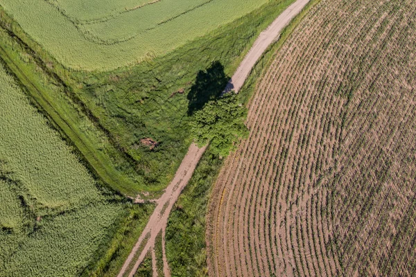 Pemandangan udara dari ladang panen — Stok Foto