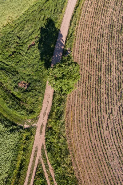 Воздушный вид полей для сбора урожая — стоковое фото