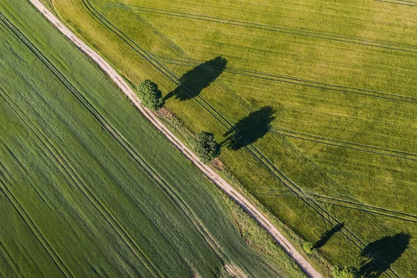 Aerial view of the harvest fields — Stock Photo, Image