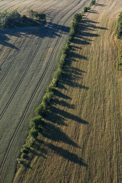 Flygfoto över skördefälten — Stockfoto