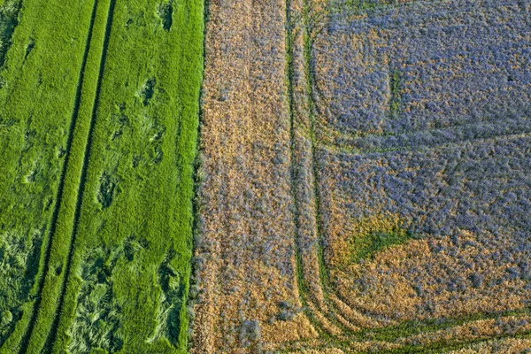 Vista aérea de los campos de cosecha — Foto de Stock