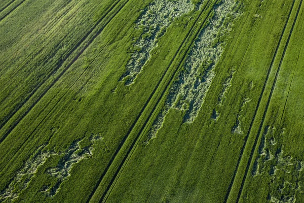 Aerial view of the harvest fields — Stock Photo, Image