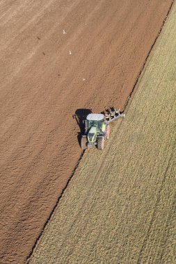Polonya 'da hasat tarlasında traktör