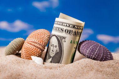 Deniz kabukları ve sahil kumu Doları para