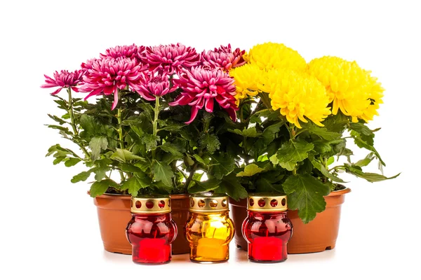 Grave candle  lantern with flowers isolated on white — Stock Photo, Image