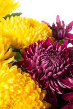 Mezar çiçek üzerinde beyaz izole