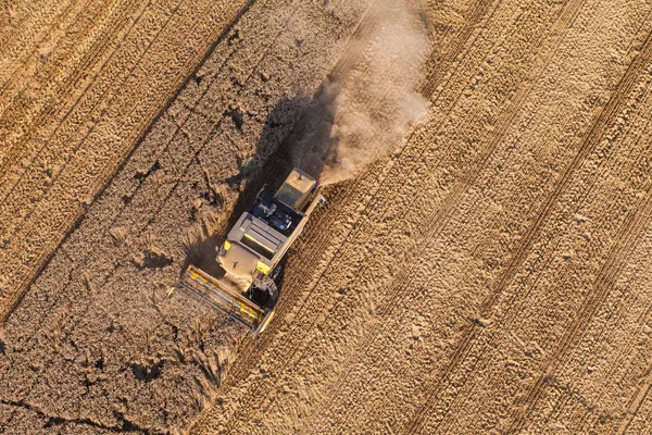 Combine on harvest fields — Stock Photo, Image