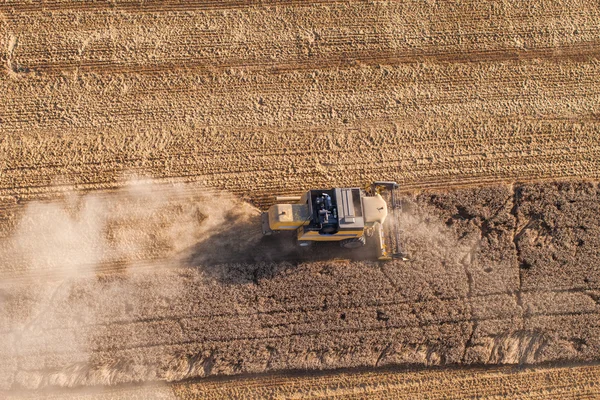 Combine on harvest fields — Stock Photo, Image