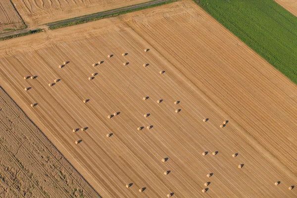 Sklizňové pole a balíky sena — Stock fotografie