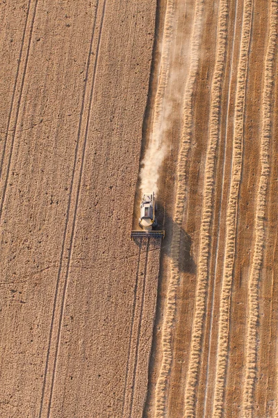 Combine on harvest fields — Stock Photo, Image