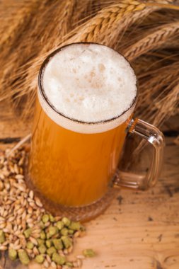 Cam ev yapımı bira