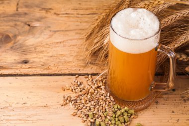Cam ev yapımı bira