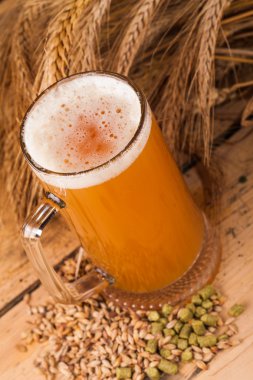Cam ev yapımı bira
