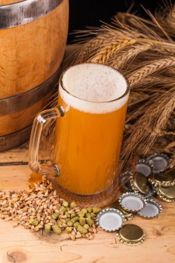 Cam ev yapımı bira