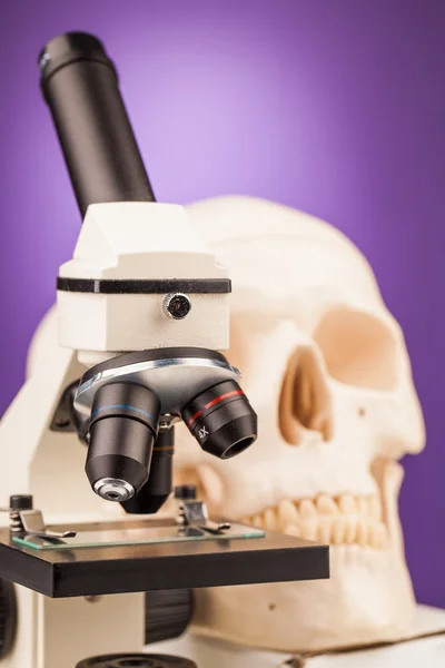 Лабораторный микроскоп и череп человека — стоковое фото