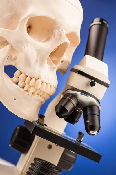 Laboratory microscope and human scull — Stock Photo, Image