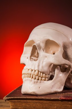 İnsan kürek ve eski kitap