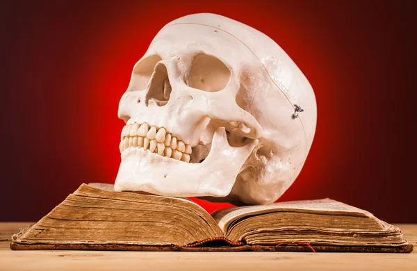 Mänsklig skalle och gammal bok — Stockfoto