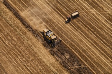 hasat alanı birleştirmek