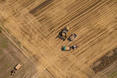 hasat alanı birleştirmek