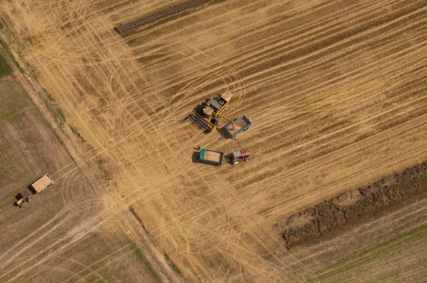 Combinar en el campo de cosecha — Foto de Stock