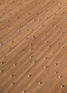 Hasat alan saman rulo