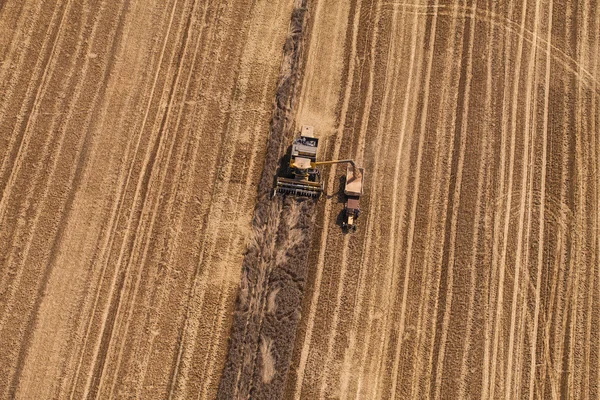 Aerial view of combine — Stock Photo, Image