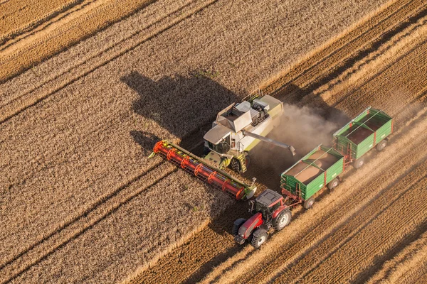 Aerial view of combine — Stock Photo, Image