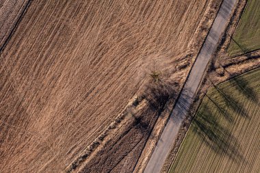 Köy yolu ve hasat alanları
