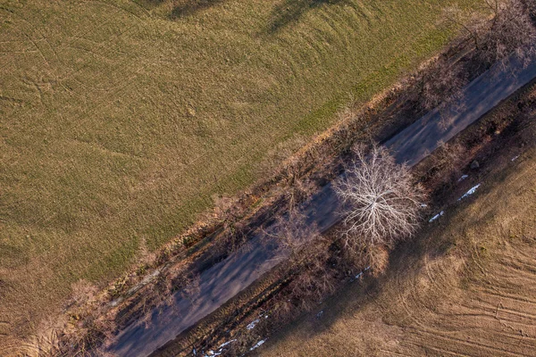 Village road and harvest fields — Stock Photo, Image