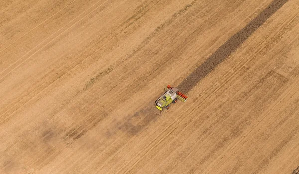 Combinar en el campo de cosecha — Foto de Stock