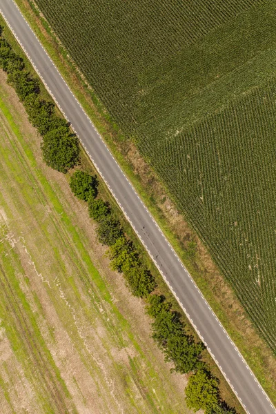 Campos de carretera y cosecha —  Fotos de Stock