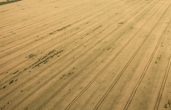 Aerial view of harvest field — Stock Photo, Image