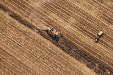 combine havadan görünümü hasat alanı 
