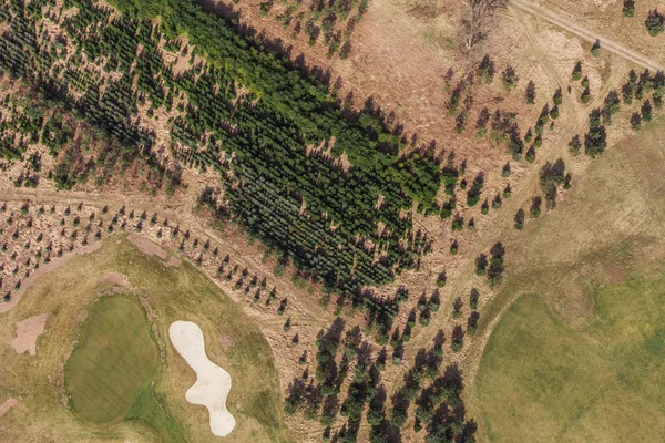 Aerial view over golf field  and small forest — Stock Photo, Image