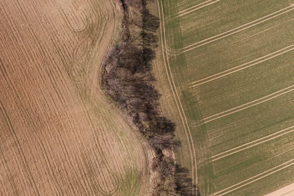 Frühling Dorf Ernte Felder Landschaft — Stockfoto