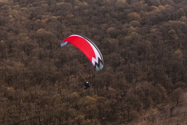 Aerial view of paramotor flying over the forest — Stock Photo, Image