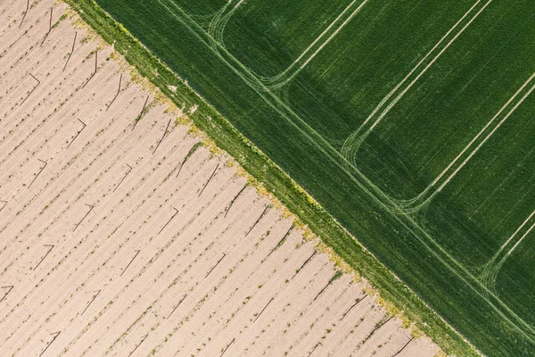 Aerial view of village  harvest fields — Stock Photo, Image