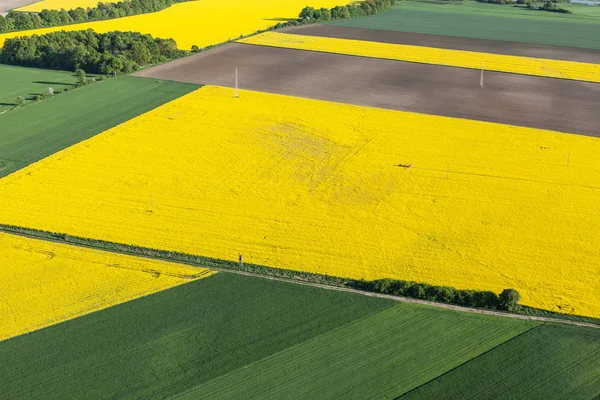 Vue aérienne des champs de récolte avec tracteur — Photo