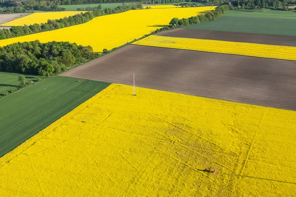 Vista aérea dos campos de colheita com trator — Fotografia de Stock