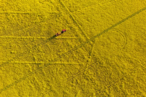 トラクターで黄色レイプ収穫の畑 — ストック写真
