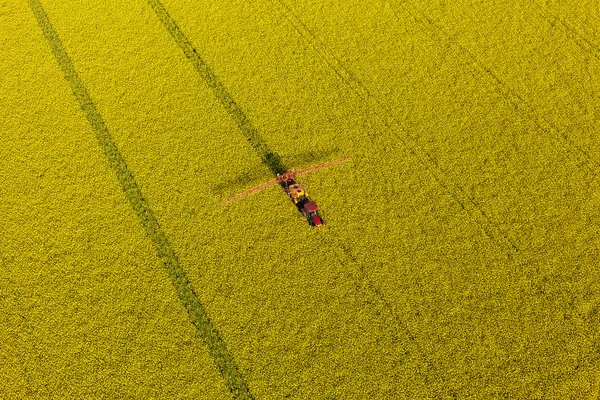 トラクターで黄色レイプ収穫の畑 — ストック写真