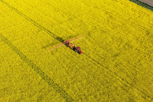 Campi colza gialla con trattore — Foto Stock