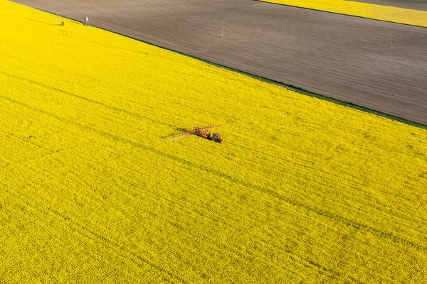 Champs de récolte de colza jaune avec tracteur — Photo