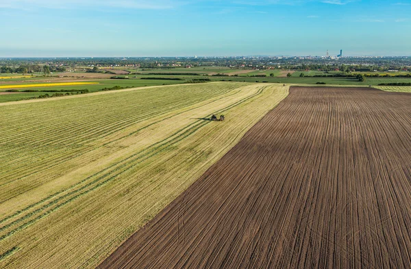 Harvest fields with combine and tractor — Stock Photo, Image