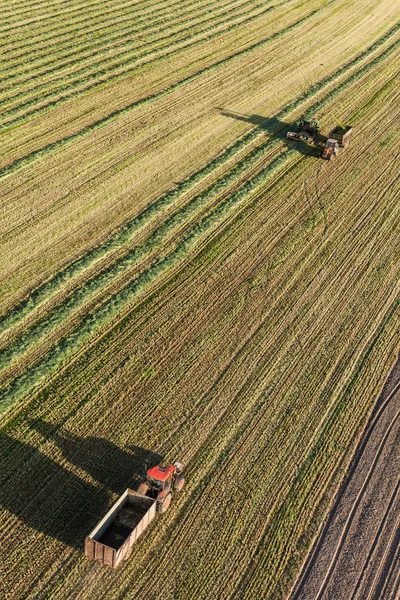 Harvest fields with combine and tractor — Stock Photo, Image