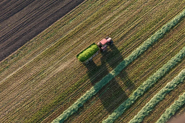 Aerial view of harvest fields with  tractor — Stock Photo, Image