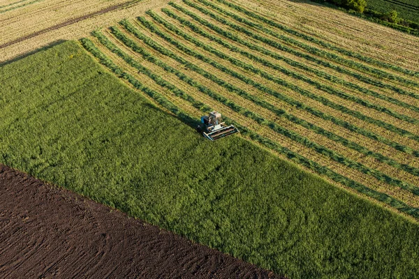 Luchtfoto van oogstvelden met combinatie — Stockfoto